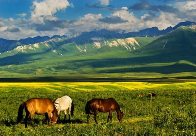 ҚОСАҒАШ АУЫЛЫ