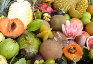 БІЗДІҢ АУЫЛДАҒЫ ЖЕМІС-ЖИДЕКТЕР